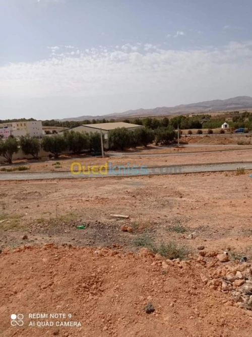 Vente Terrain Sidi bel abbes Sidi hamadouche
