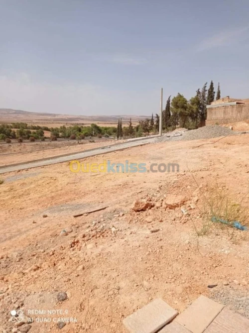 Vente Terrain Sidi bel abbes Sidi hamadouche