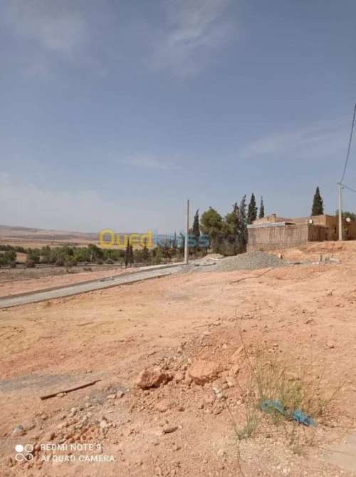 Vente Terrain Sidi bel abbes Sidi hamadouche