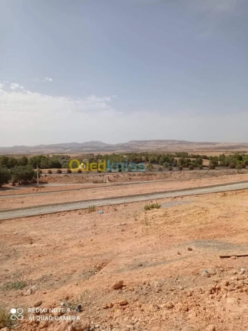Vente Terrain Sidi bel abbes Sidi hamadouche