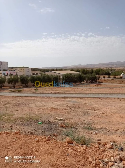 Vente Terrain Sidi bel abbes Sidi hamadouche