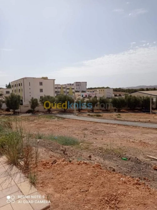 Vente Terrain Sidi bel abbes Sidi hamadouche