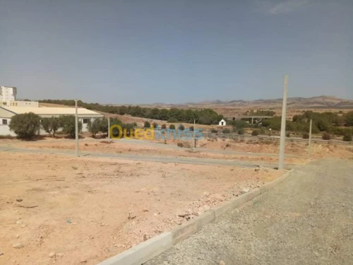 Vente Terrain Sidi bel abbes Sidi hamadouche