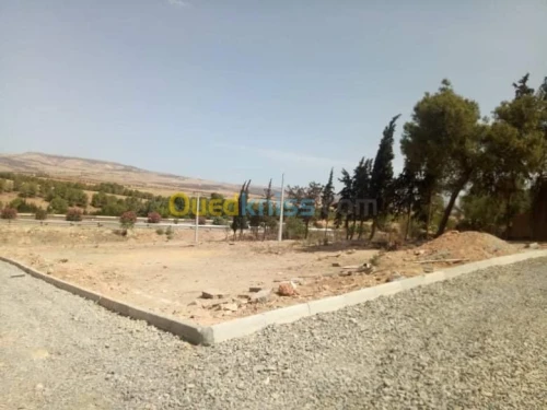 Vente Terrain Sidi bel abbes Sidi hamadouche