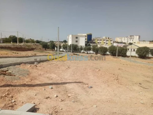 Vente Terrain Sidi bel abbes Sidi hamadouche