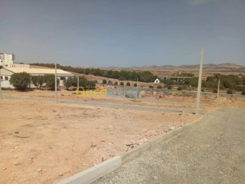 Vente Terrain Sidi bel abbes Sidi hamadouche