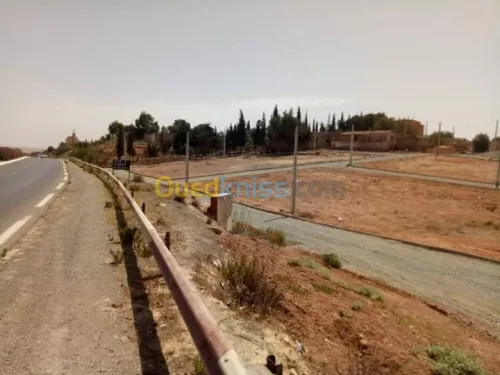 Vente Terrain Sidi bel abbes Sidi hamadouche