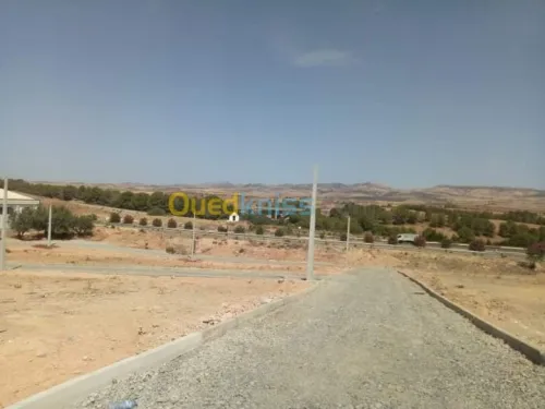 Vente Terrain Sidi bel abbes Sidi hamadouche