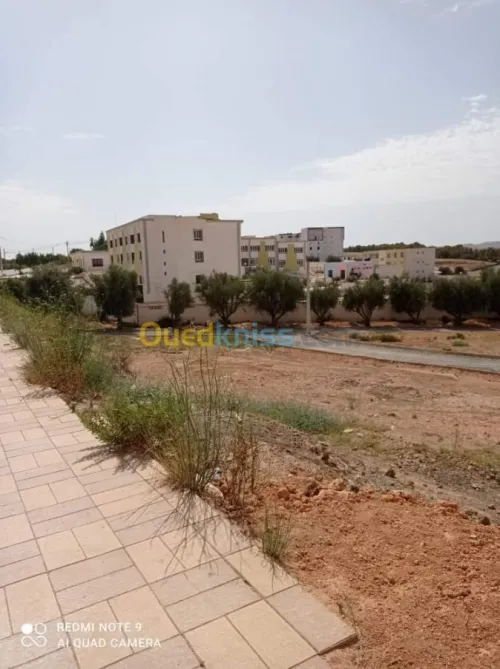 Vente Terrain Sidi bel abbes Sidi hamadouche