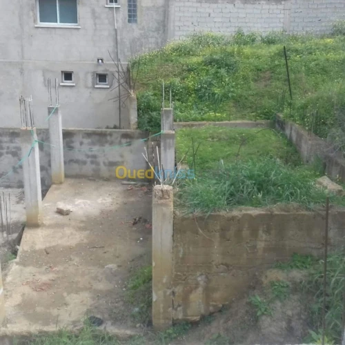 Vente Carcasse Tipaza Cherchell
