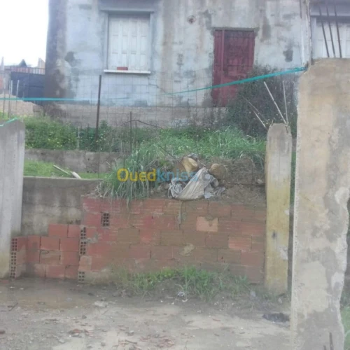 Vente Carcasse Tipaza Cherchell