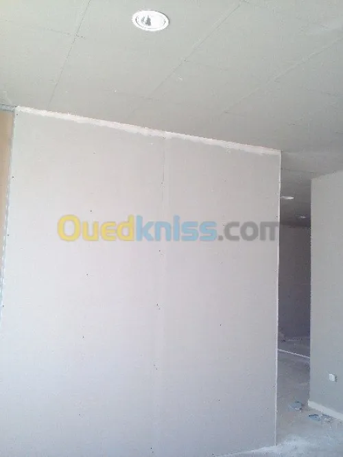 pose alluco bande mur rideau tout les facade vantile faux plafand placo platre et menuiserie alluminume.....
