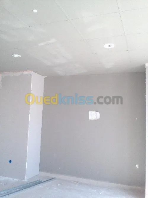 pose alluco bande mur rideau tout les facade vantile faux plafand placo platre et menuiserie alluminume.....