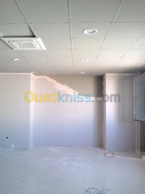 pose alluco bande mur rideau tout les facade vantile faux plafand placo platre et menuiserie alluminume.....