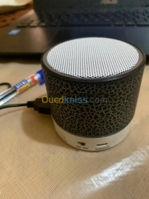 Mini Haut-parleur Bluetooth