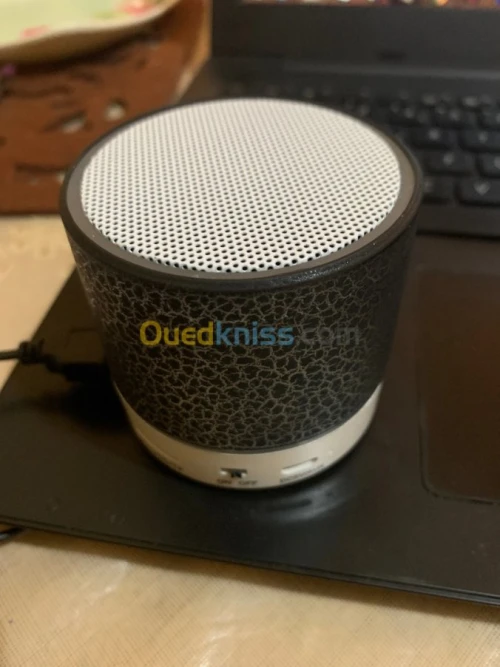 Mini Haut-parleur Bluetooth