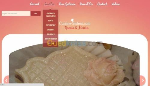 developpement des SITE WEB 