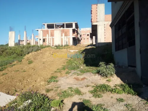 Vente Terrain Alger Douera
