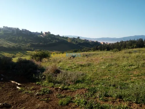 Vente Terrain Alger Douera