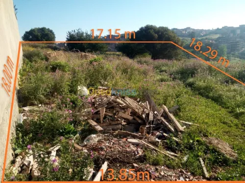 Vente Terrain Alger Douera