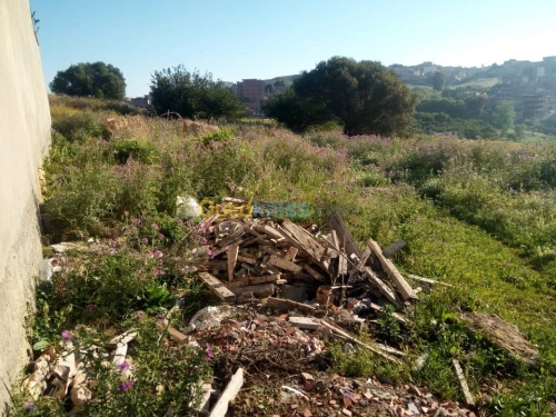 Vente Terrain Alger Douera