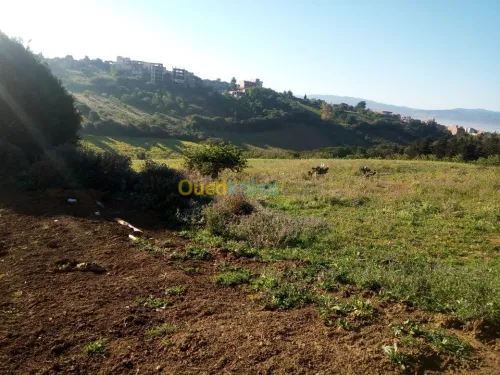 Vente Terrain Alger Douera