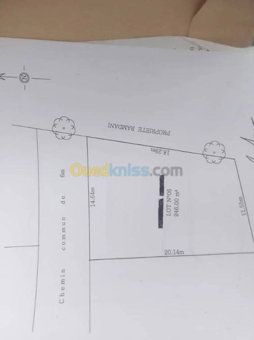 Vente Terrain Alger Douera