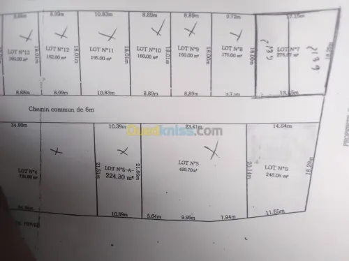Vente Terrain Alger Douera