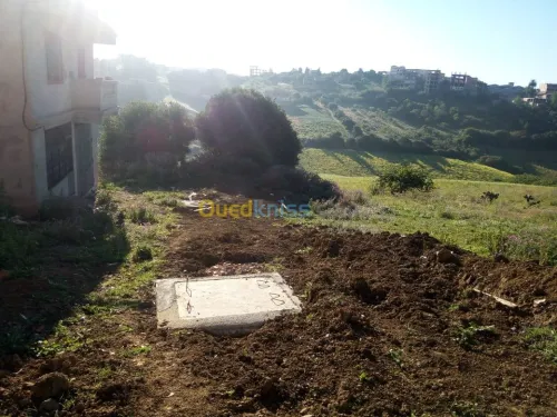 Vente Terrain Alger Douera