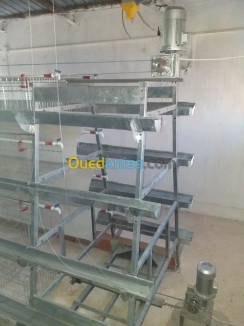 Baterrie poule pondeuse capasiter 4800