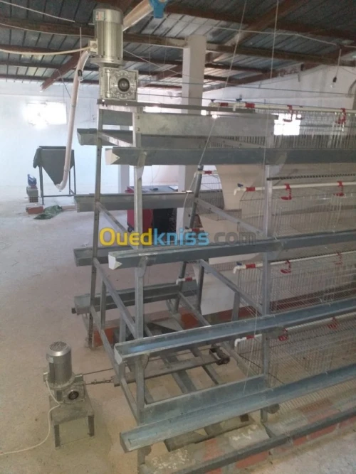 Baterrie poule pondeuse capasiter 4800