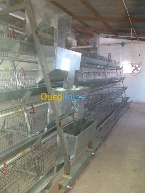 Baterrie poule pondeuse capasiter 4800