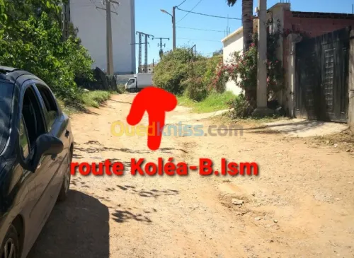 Location Local Tipaza Bou ismail