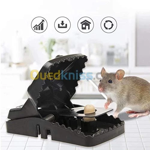 PIEGE A RAT ET SOURIS