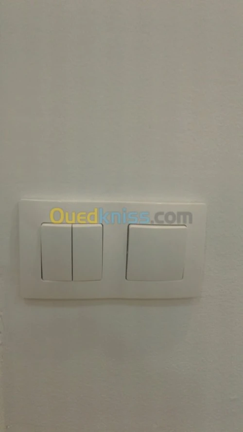 Électricité  bâtiment et réseau inform