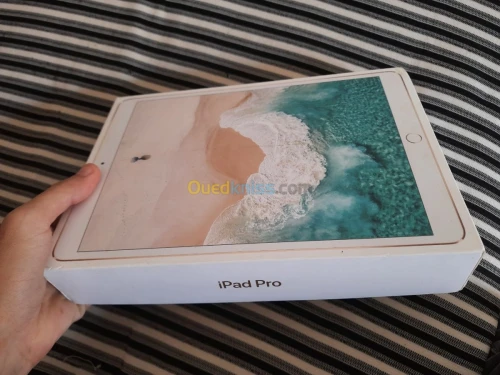 ipad pro 10,5 (2017) 256G , wifi