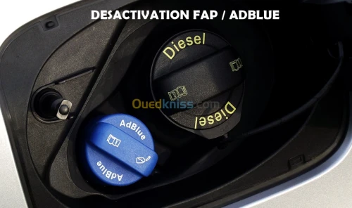 Désactivation FAP ADBLUE EGR