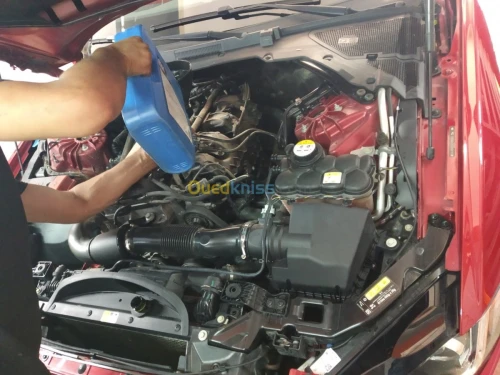 Désactivation FAP ADBLUE EGR
