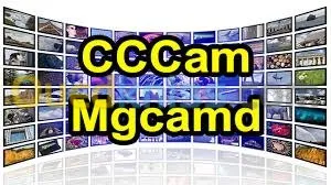 Vente de serveurs CCcam