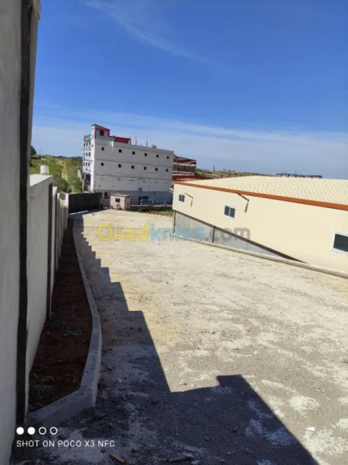 Vente Hangar Alger Douera