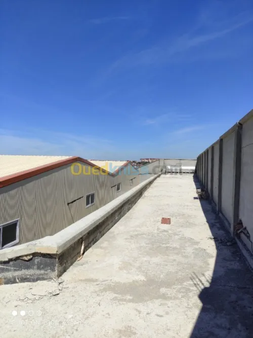 Vente Hangar Alger Douera