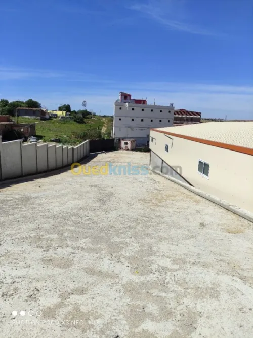 Vente Hangar Alger Douera