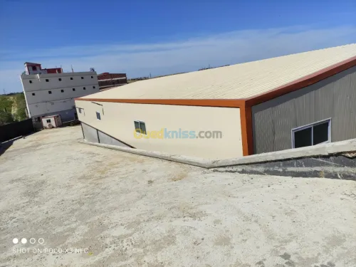 Vente Hangar Alger Douera