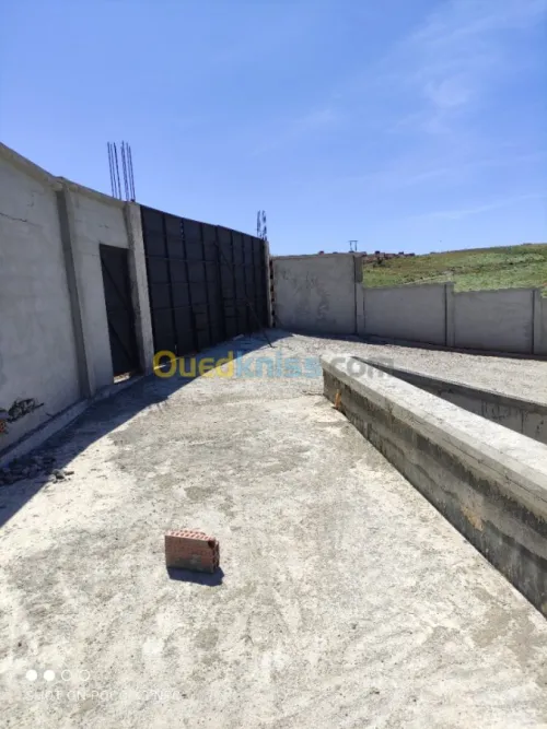 Vente Hangar Alger Douera