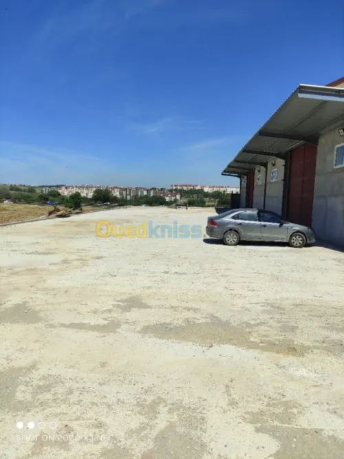 Vente Hangar Alger Douera