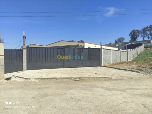 Vente Hangar Alger Douera