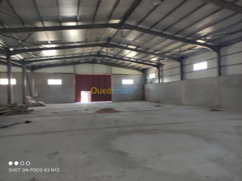 Vente Hangar Alger Douera