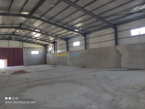 Vente Hangar Alger Douera