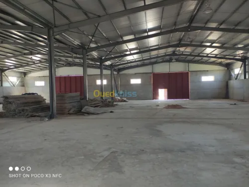 Vente Hangar Alger Douera