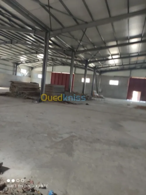 Vente Hangar Alger Douera